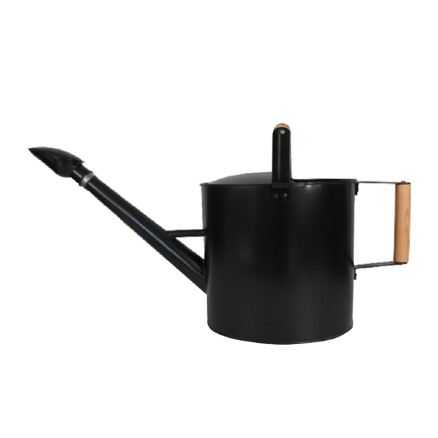 Large Watering Can