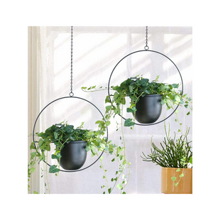 Hanging Flower Pots GT14301