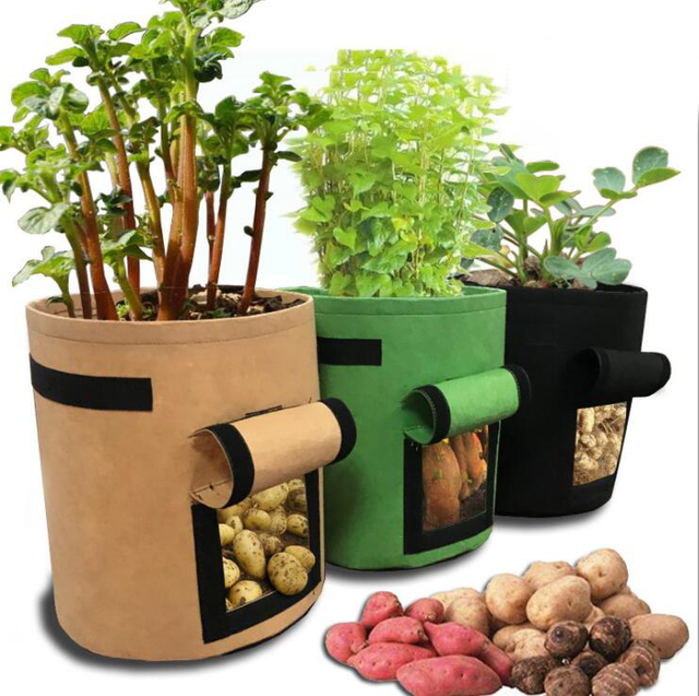 Potato Grow Bags GT15043