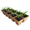 Seed Starter Peat Pots Kit GT23026