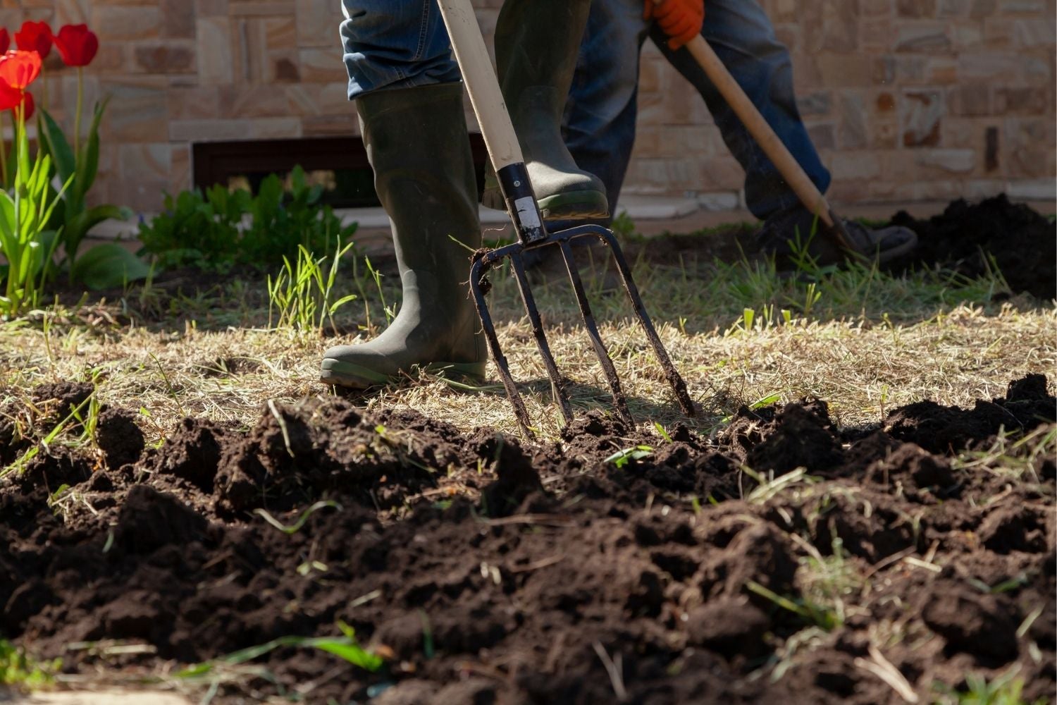 best_garden_fork-1