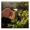 Indoor Bonsai Mini Silver Stainless Steel Long Spout Watering Can 