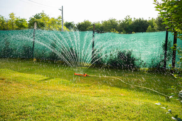 istockphoto-2148644124-612x612