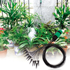 Automatic Watering and Flower Watering Device