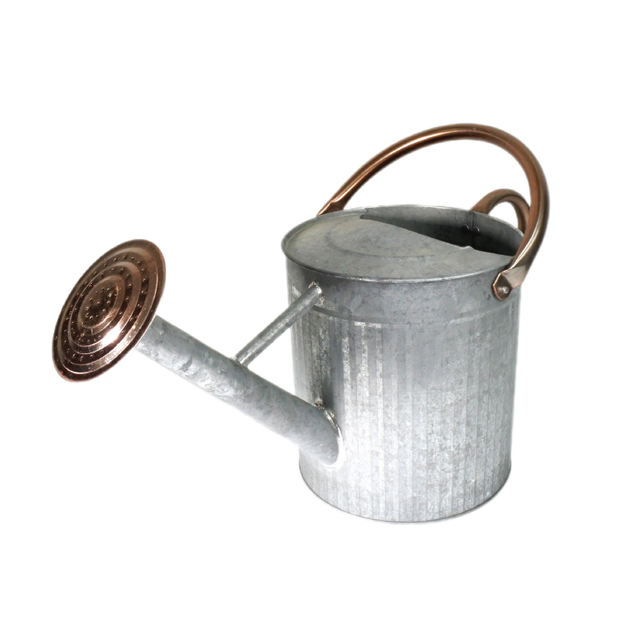 Antique White 0.5 Gallon Galvanized Decorative Metal Garden Watering Can