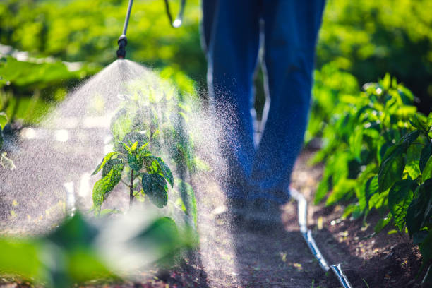 Backpack Sprayer: A Powerful Tool for Efficient Spraying