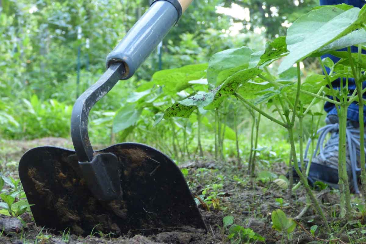 garden-hoe-GettyImages-1147002334