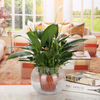 Clear Round Flower Vase Wedding Table Decoration Ball Shape Vases