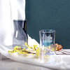 Simple Ins Electroplated Glowing Color Glass Vase