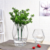 Clear Glass Flower Vases for Centerpiece Table Home