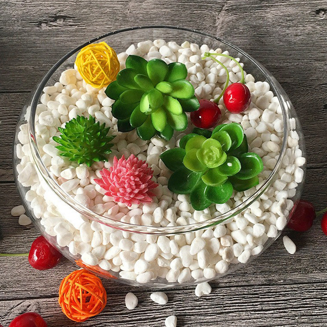 Glass Bubble Bowl Small Fish Bowl Round Terrarium Vase