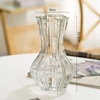 Spot Wholesale Net Red Glass Vase Transparent Hydroponic Flower Bottle Dry Flower Vase Table Decoration