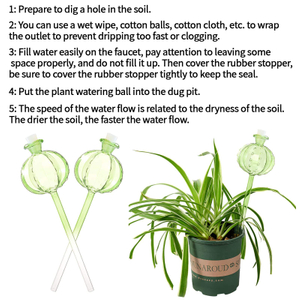 Self Watering Globes for Plants