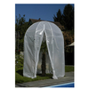 Best New Plastic PE Hoops Seed Tray Polytunnel Greenhouse to Keep the Palm Trees Warm
