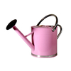 Metal Watering Can for Outdoor Plants
