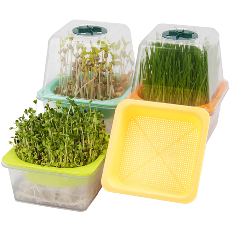 Clear Microgreen Growing Trays Sprouting Tray with Humidity Dome