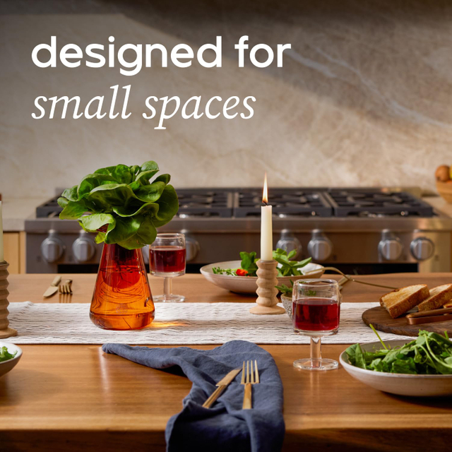 Vase Plant for Indoor Edible Garden Kit