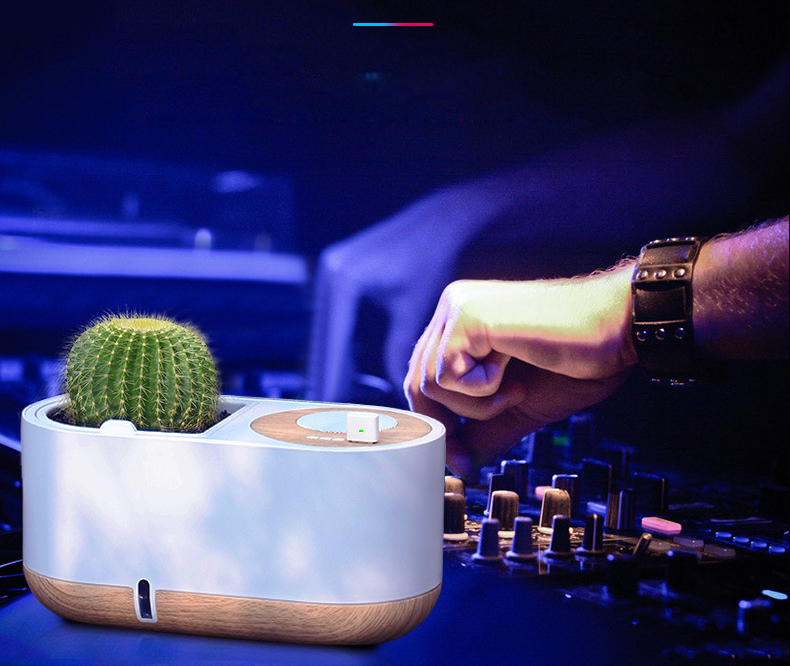 Self-watering Flower Pot (6)