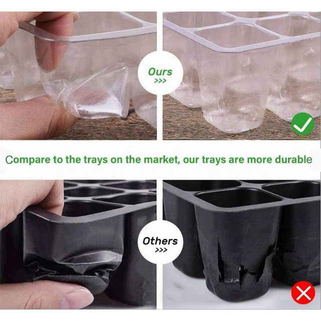 Seedling Starter Trays GT23119