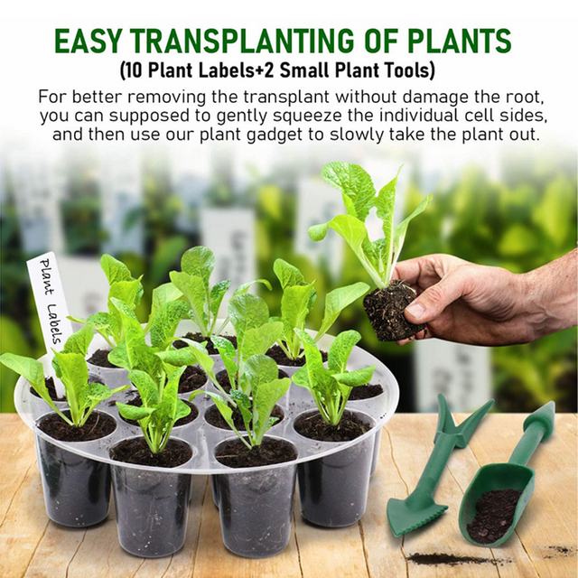 Seed Starter Tray GT23112-1