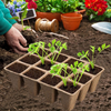 Organic Biodegradable Pea Pots Starter Kit GT23011