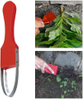 Ergonomic Root Remover with Stainless Steel Loop Garden Bandit Hand Loop Weeder Tool