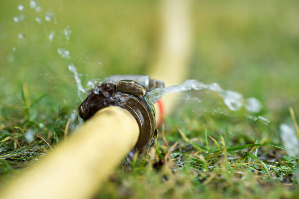istockphoto-1002978524-612x612