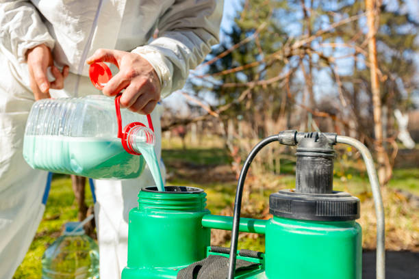 istockphoto-1387211854-612x612