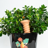 Plant Water Devices Terracotta Vacation Plant Waterer Watering Stakes