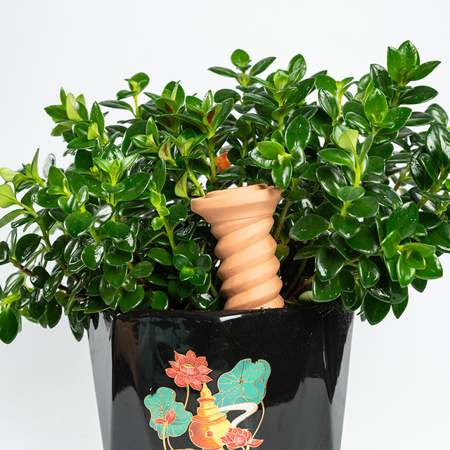 Plant Water Devices Terracotta Vacation Plant Waterer Watering Stakes