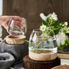 Japanese Minimalist Style Short Wide-mouth Transparent Glass Vase With Wooden Baseplate