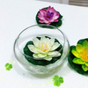 Glass Bubble Bowl Small Fish Bowl Round Terrarium Vase