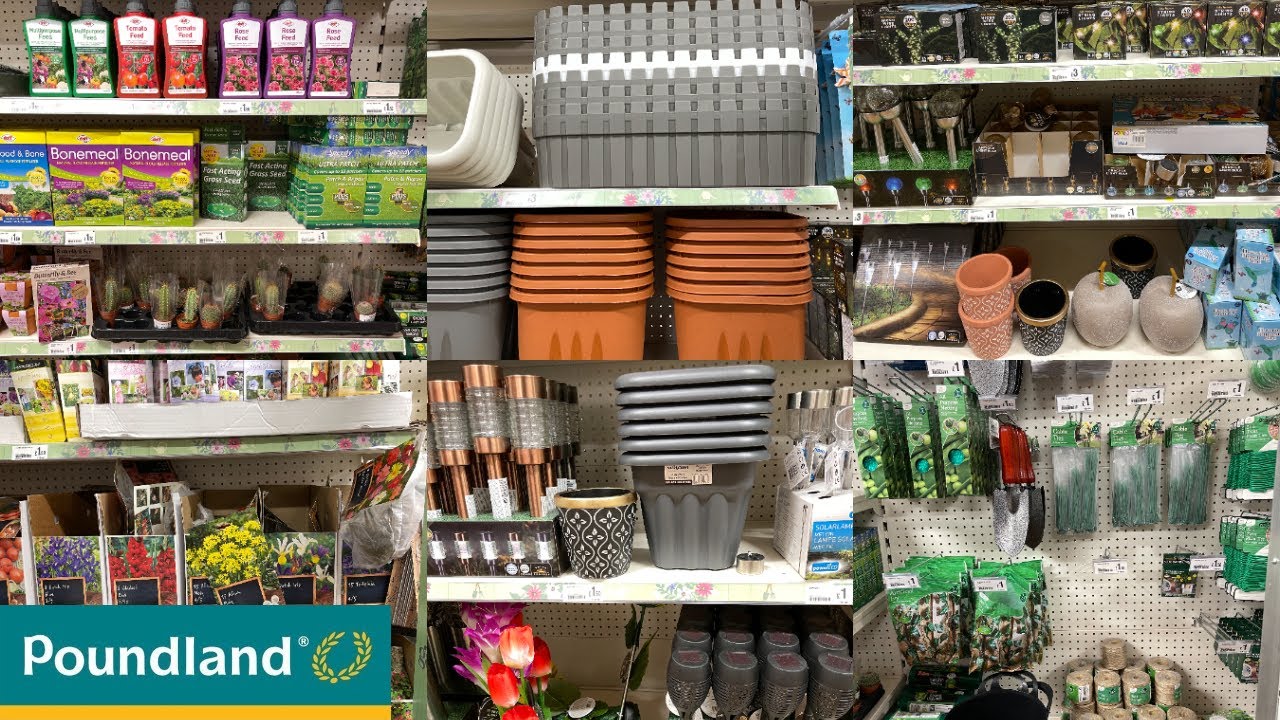 Poundland's increased investment in homeware (5)