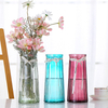 Glass Vase Creative Nordic Colored Glass Vase Transparent Hydroponic Flower Vases Decorated with Green Plants