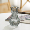 Spot Wholesale Net Red Glass Vase Transparent Hydroponic Flower Bottle Dry Flower Vase Table Decoration