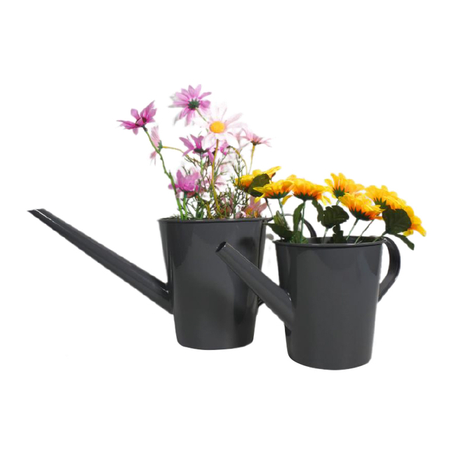 Garden Metal Watering Can