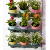 Vertical Planter Wall Indoor Hydroponic Garden Stackable Color Wall Expandable Vertical Flower Pot