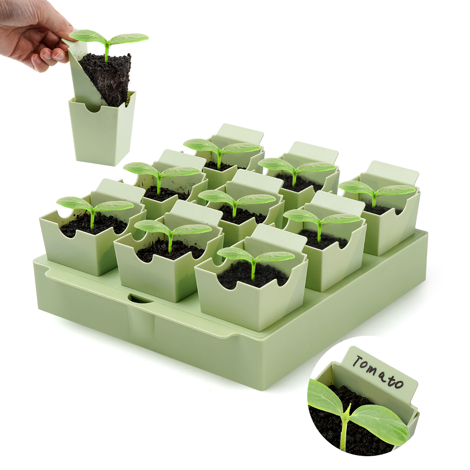 Seed Starter Tray (6)