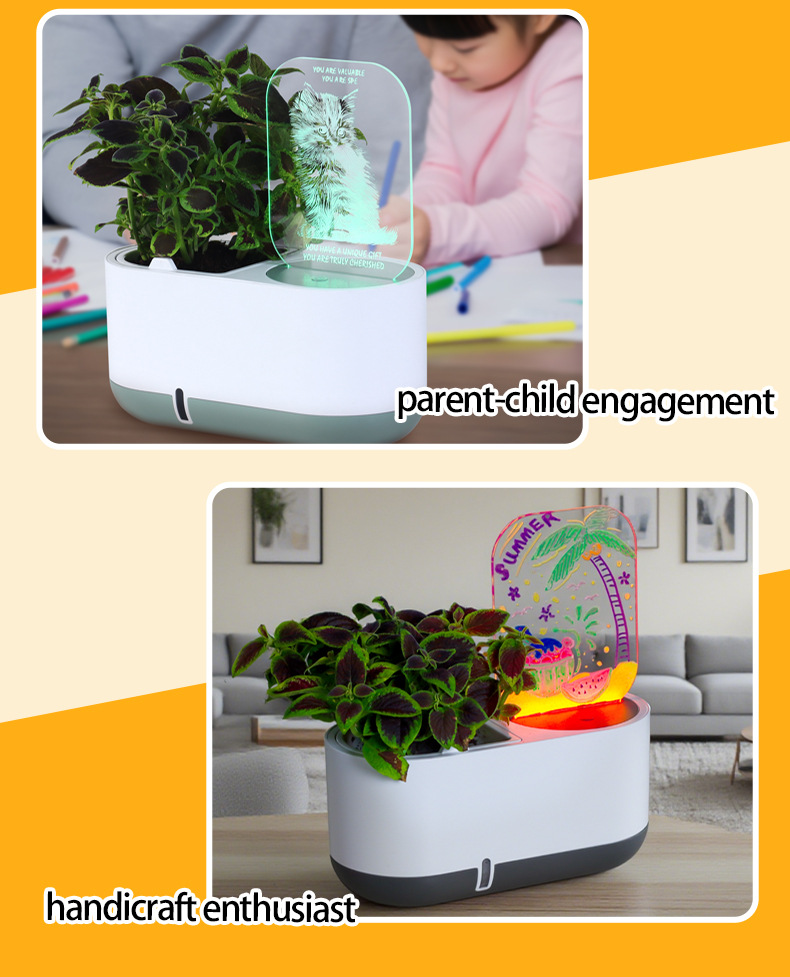 Hydroponics Growing System Kit (10)