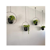 Hanging Flower Pots GT14301