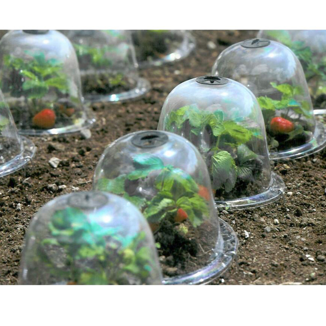 Reusable Plant Protector Cover Garden Cloche GT23040