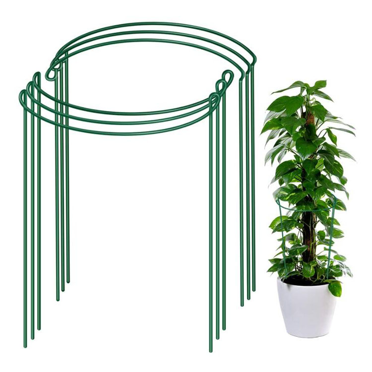 6 Pack Indoor Green Metal Half Round Plant Support Ring Cage Stakes
