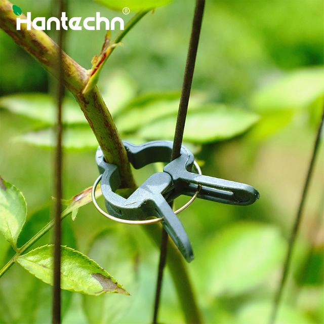 Garden Clips GT25017
