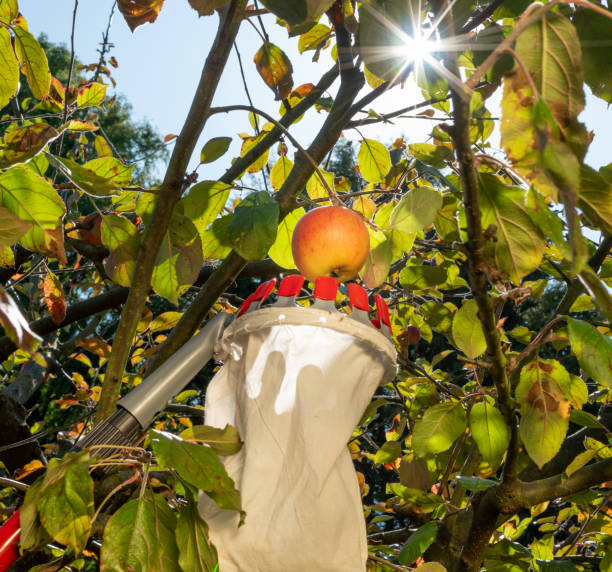 istockphoto-1176350132-612x612