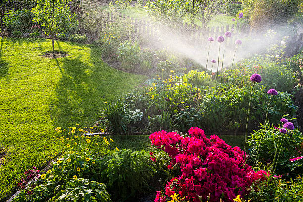 istockphoto-475116030-612x612