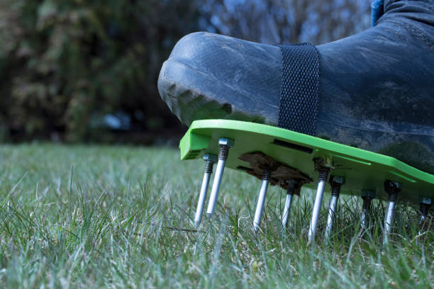 Lawn Aerator Shoes: The Ultimate Guide to Lawn Care and Maintenance