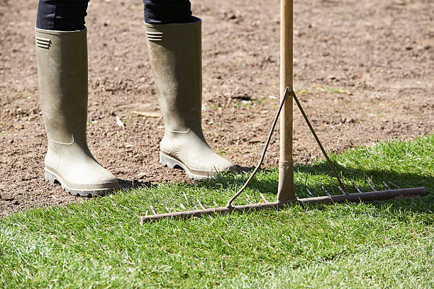 The Perfect Tool for a Flawless Lawn