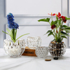 Bowl Glass Vase Clear Bubble Planter Terrarium Fish Bowl