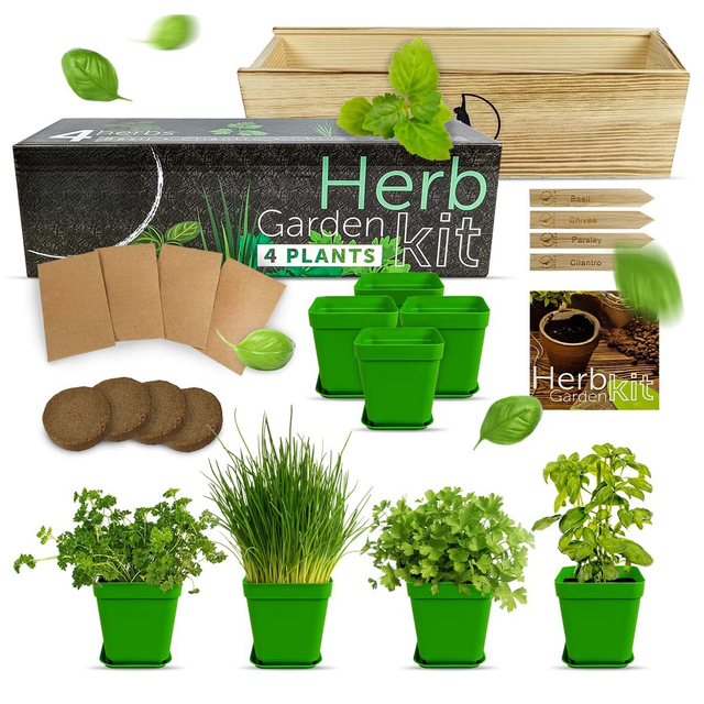 Indoor 4 Herb Seeds Home Growing Garden Plant Starter DIY Kit