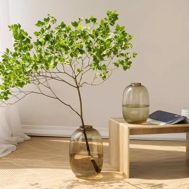 Hydroponic Hanging Bell Dragon Willow Snow Willow Fresh Cut Branches Plants Water Cultured Flower Decoration Glass Vase